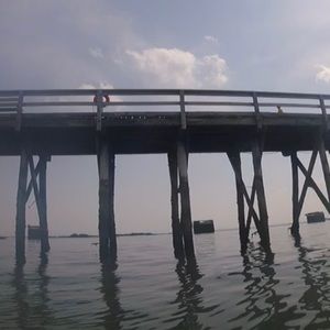 Meet your Posher, Brinly